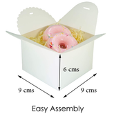 White Color Boxes With Brown Ribbons Party Gift Giveaway 36 pieces (9x9x6cm Height)